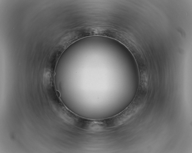 X0000112540222200908171449