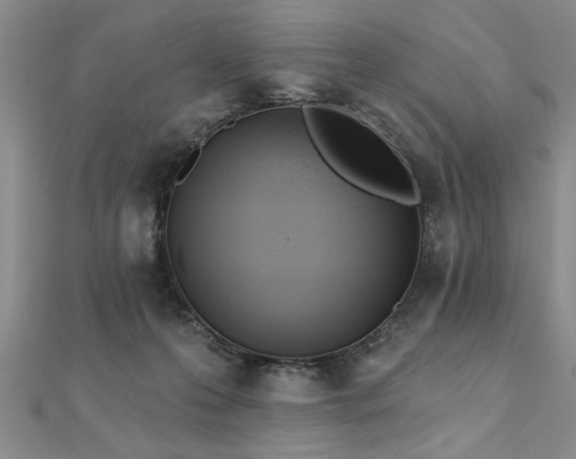 X0000112540223200908171449