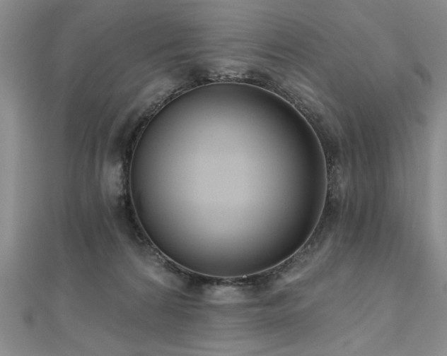 X0000112540224200908171449