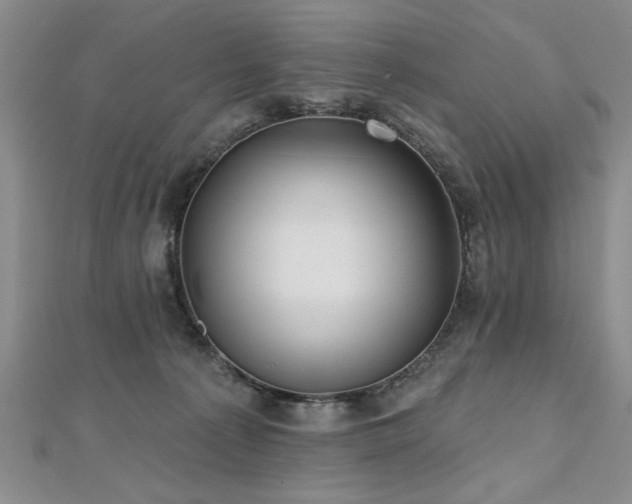 X0000112540225200908171449