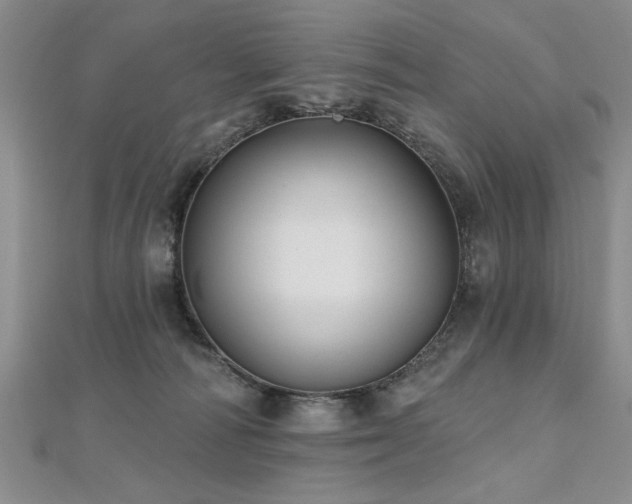 X0000112540226200908171449