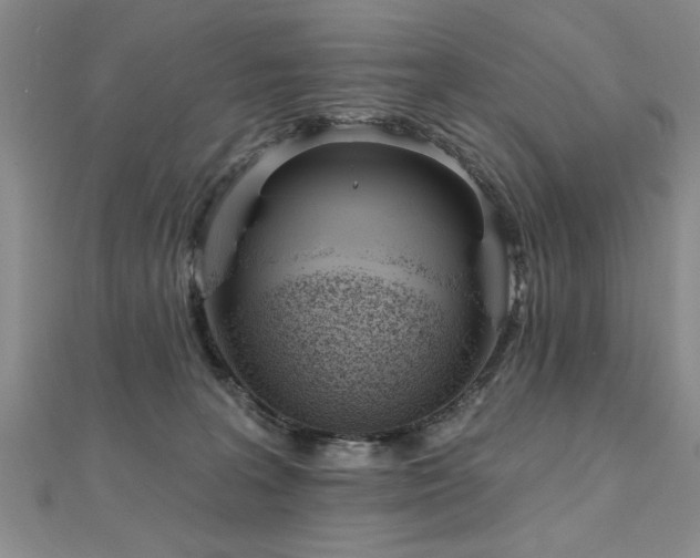 X0000112540227200908171449