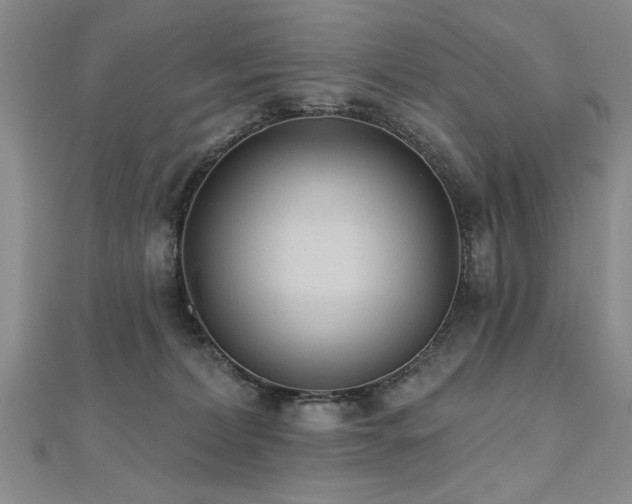 X0000112540228200908171449