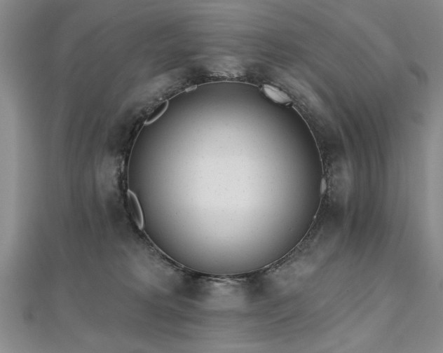 X0000112540229200908171449