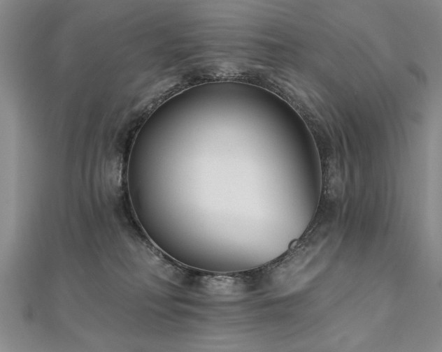 X0000112540230200908171449
