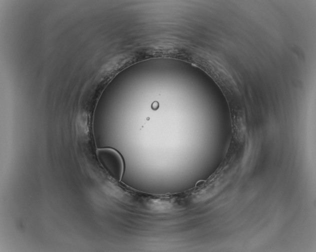 X0000112540232200908171449