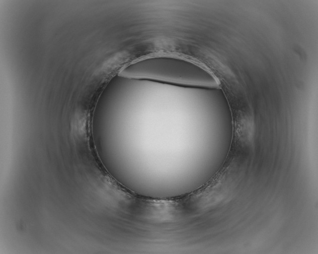 X0000112540233200908171449