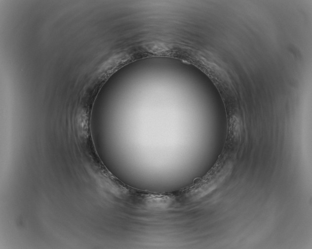 X0000112540234200908171449