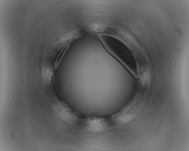 X0000112540235200908171449