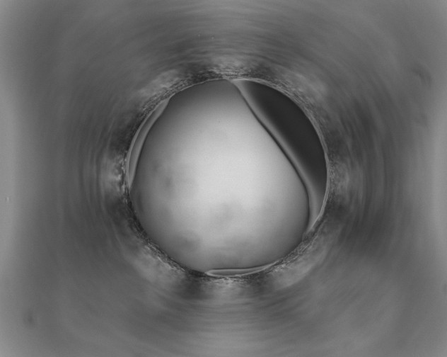 X0000112540237200908171449