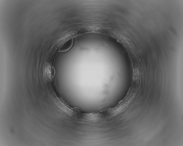 X0000112540238200908171449