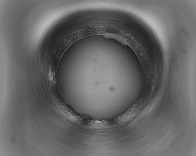 X0000112540239200908171449