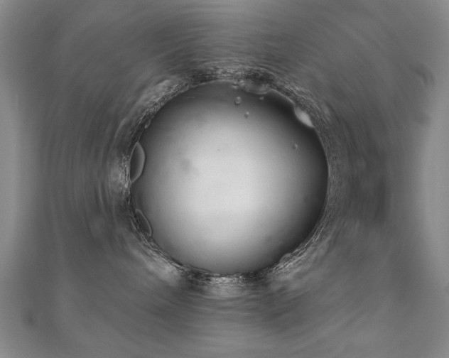 X0000112540240200908171449