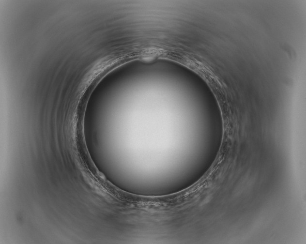 X0000112540242200908171448