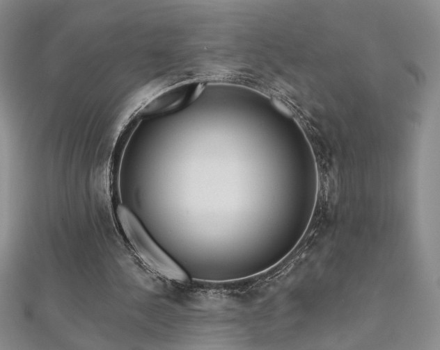 X0000112540244200908171448