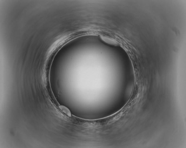 X0000112540245200908171448