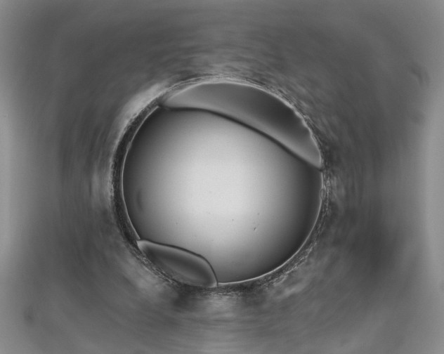 X0000112540248200908171448