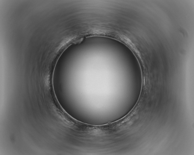 X0000112540249200908171448