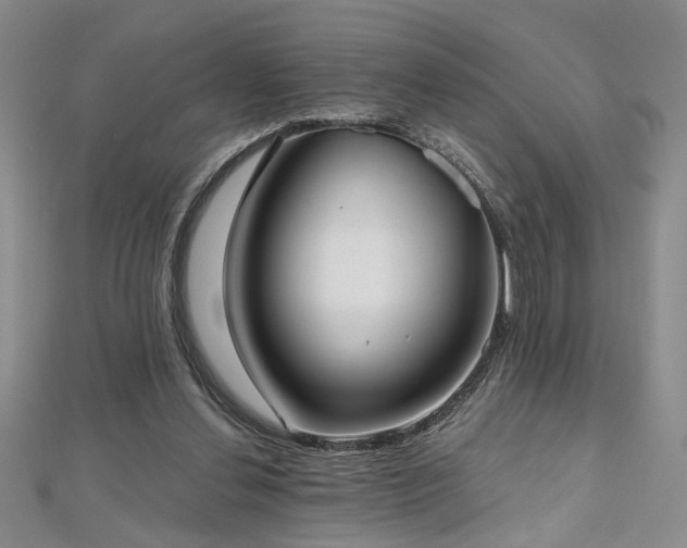 X0000112540252200908171448