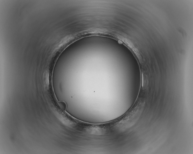 X0000112540253200908171448