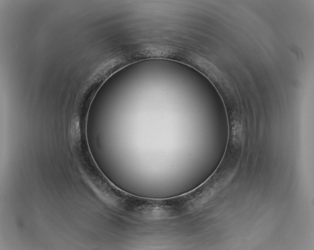 X0000112540254200908171448