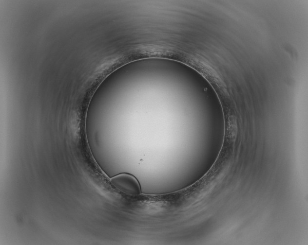 X0000112540255200908171448