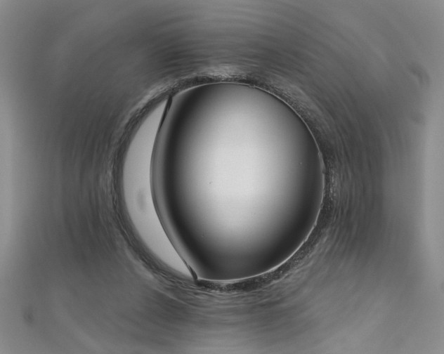 X0000112540256200908171448