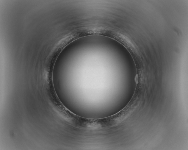 X0000112540258200908171449