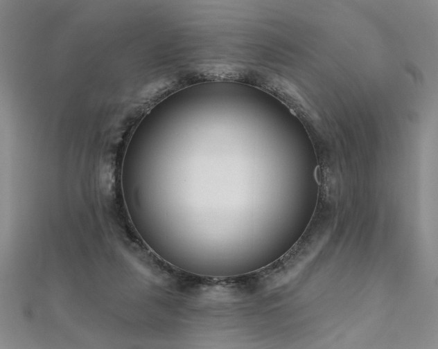 X0000112540259200908171449