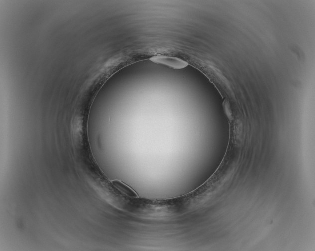 X0000112540260200908171449