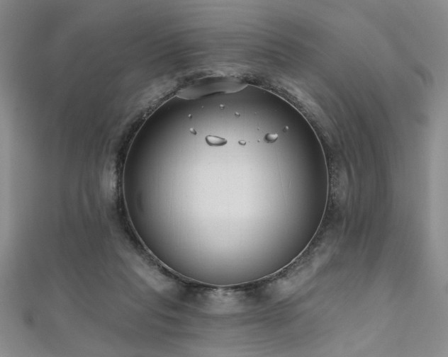 X0000112540261200908171449