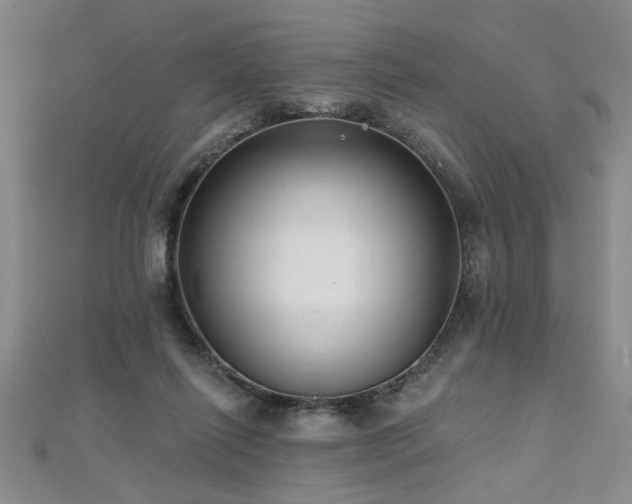 X0000112540262200908171449