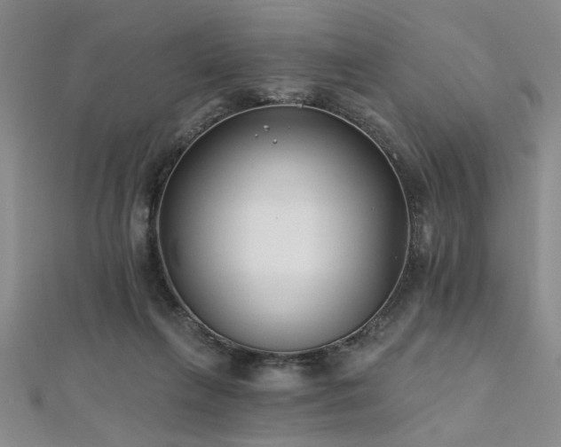 X0000112540263200908171449