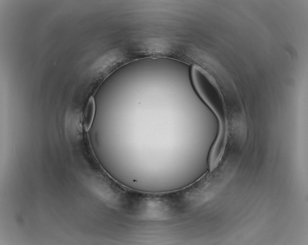 X0000112540264200908171449