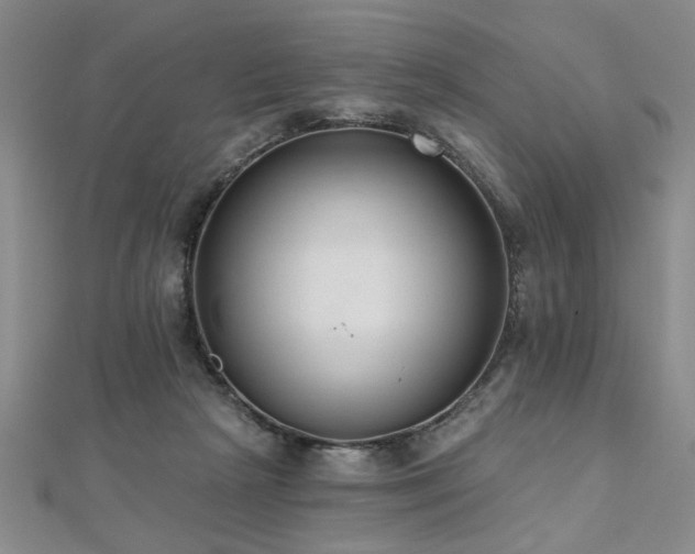 X0000112540265200908171449
