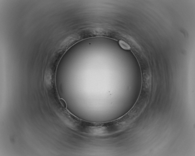 X0000112540266200908171449