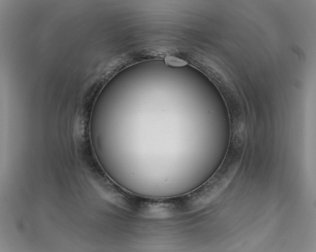 X0000112540268200908171449