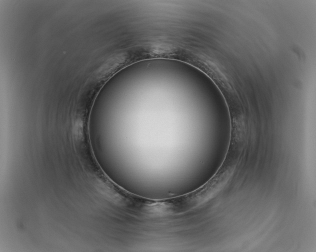 X0000112540269200908171449