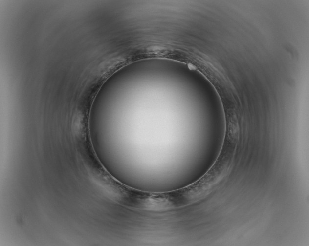 X0000112540270200908171449