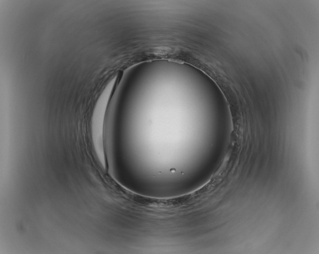 X0000112540272200908171449