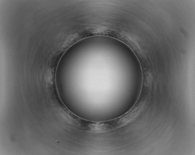 X0000112540273200908171449