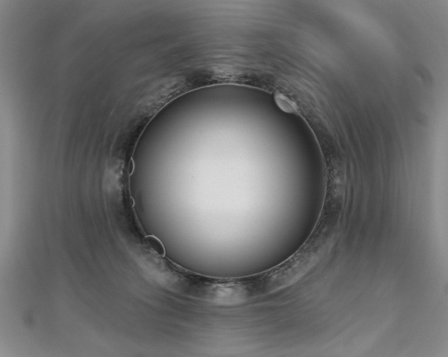 X0000112540275200908171449