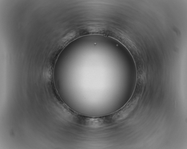 X0000112540277200908171449