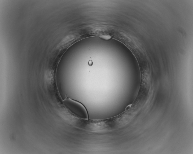 X0000112540278200908171449