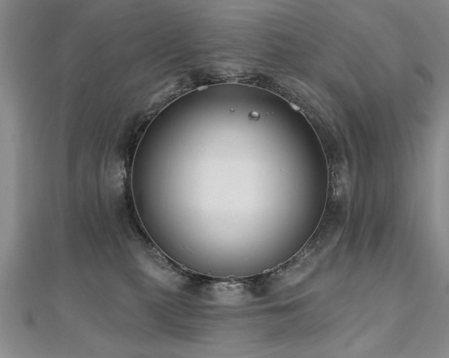 X0000112540279200908171449
