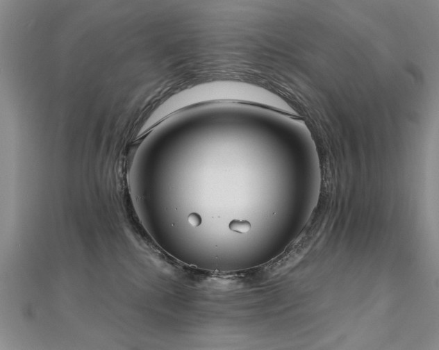 X0000112540280200908171449