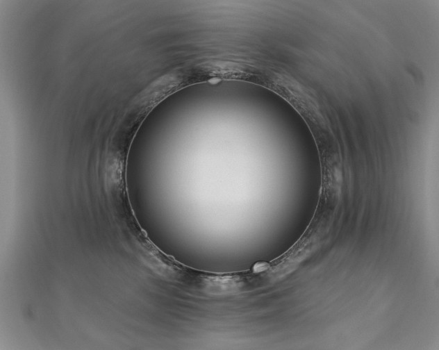 X0000112540281200908171449