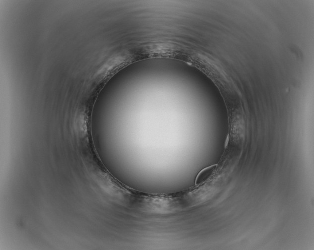 X0000112540282200908171449