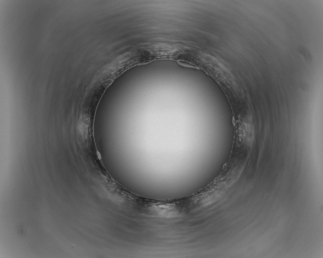 X0000112540283200908171449