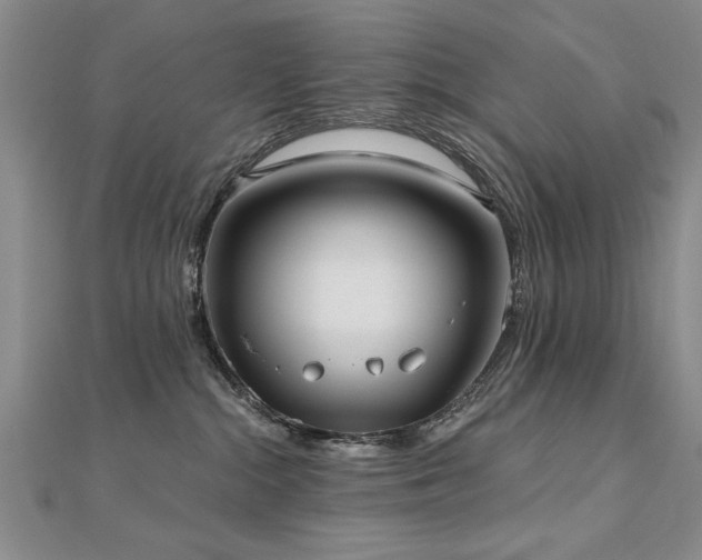 X0000112540284200908171449